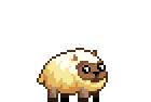 Sheepie